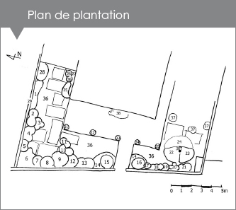 plan de plantations paysagères, Racines Paysage, Paysagiste Nîmes